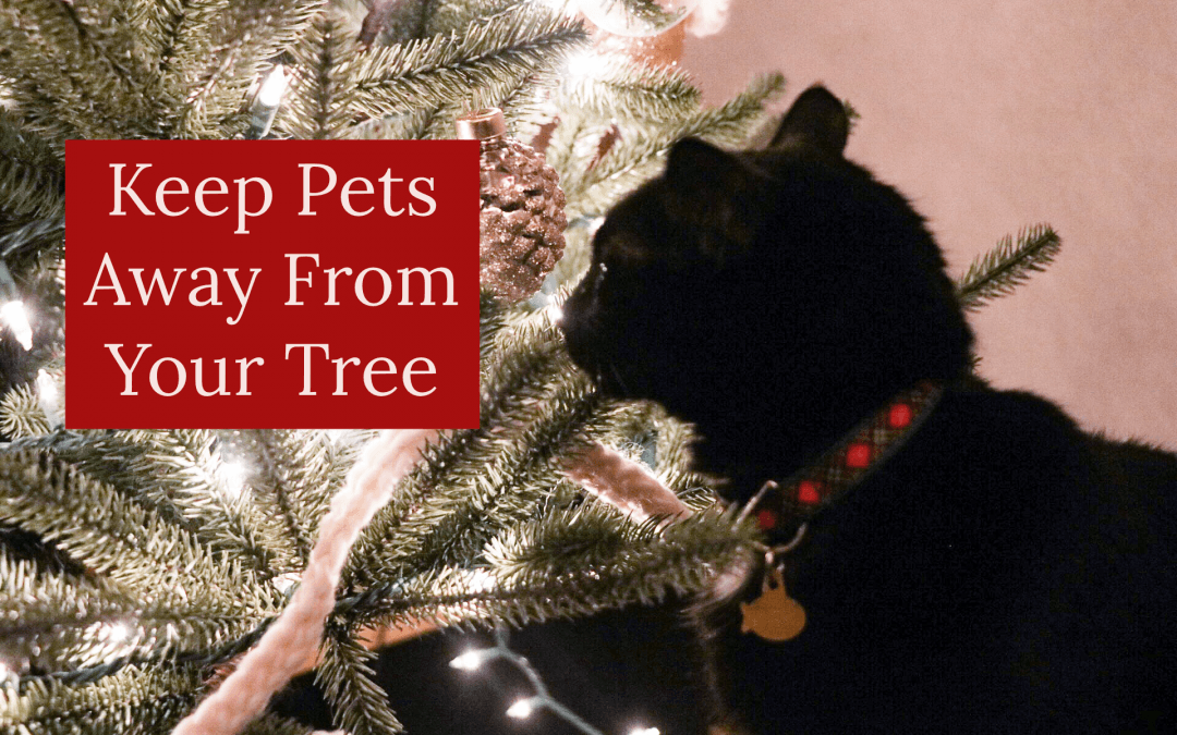 How to Keep Pets Away From Your Tree