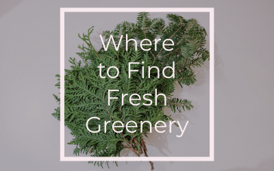 Where to Find Fresh Greenery