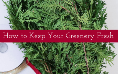 How to Keep Your Greenery Fresh