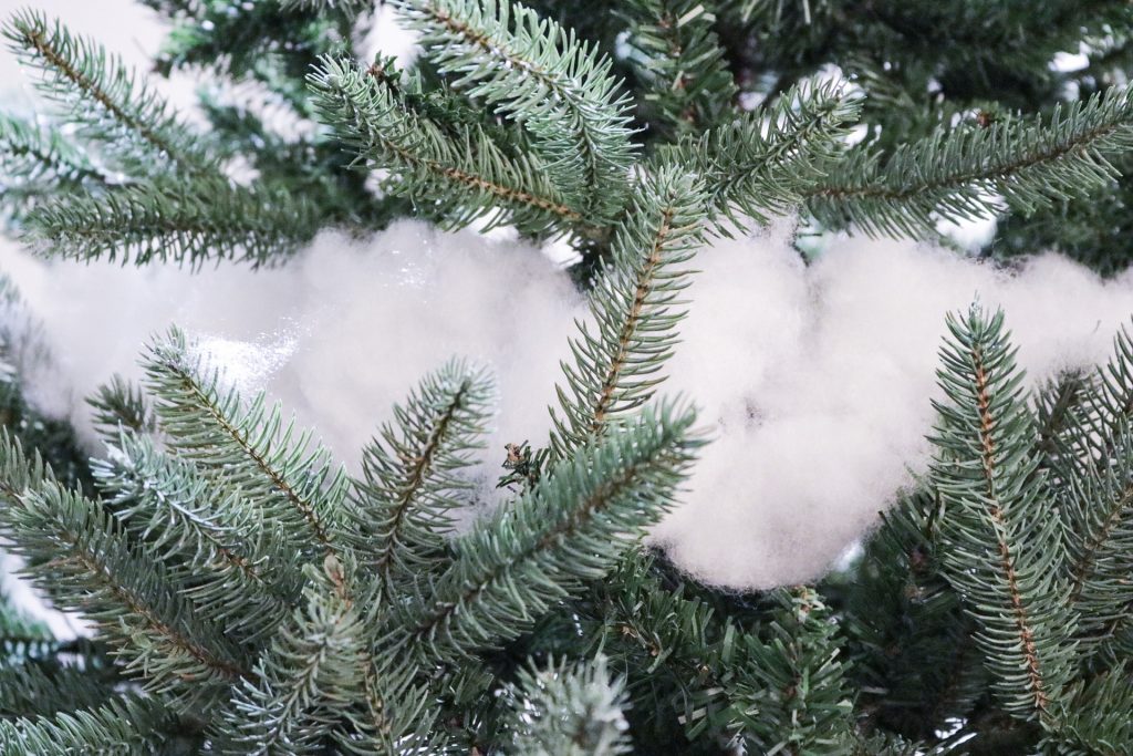 4 Ways to Make Any Tree Look Full Sugar Design Co