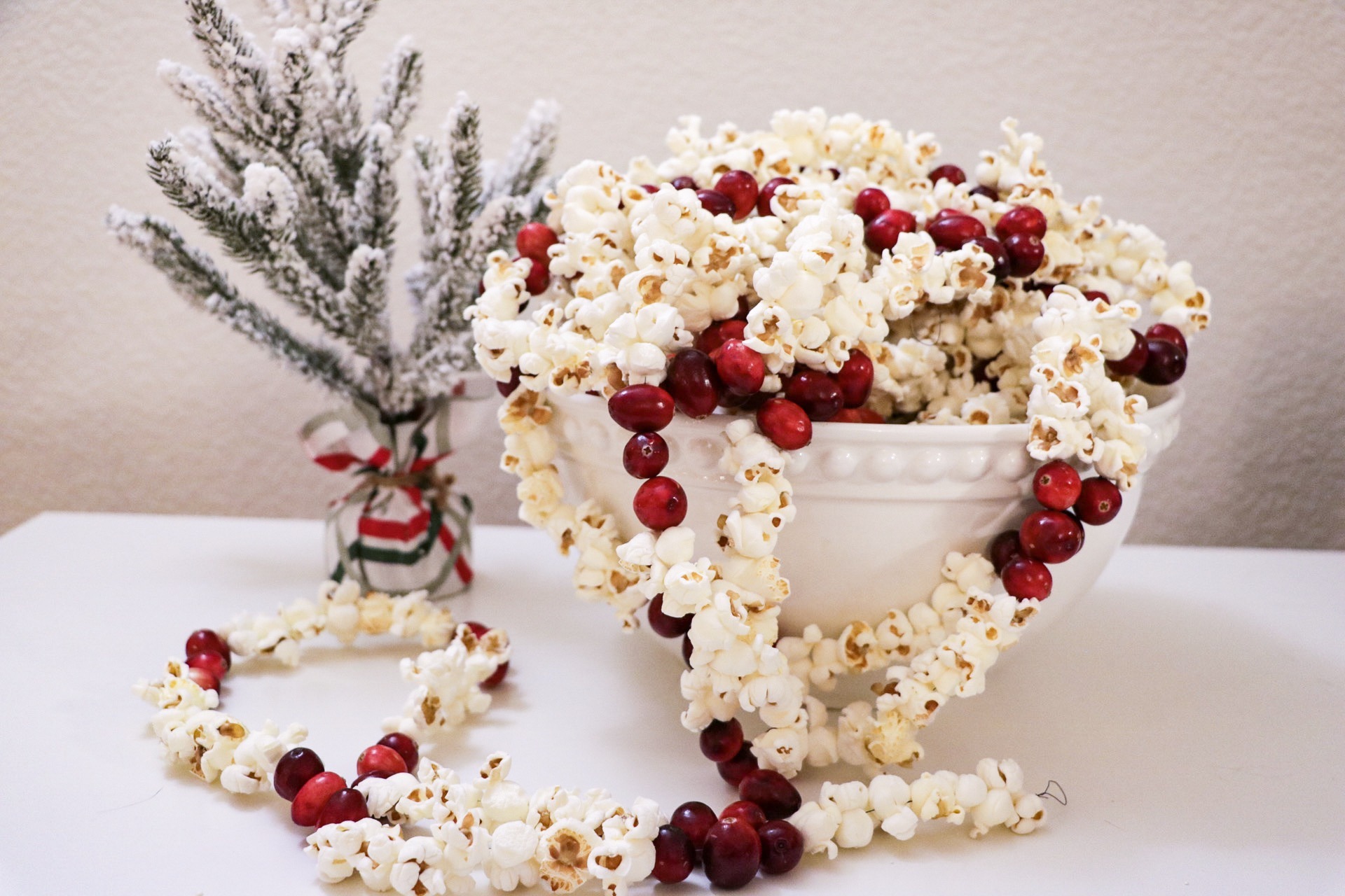 DIY Popcorn Cranberry Garland Sugar Design Co